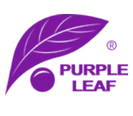 Purple Leaf